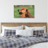 Miniatuur Dachshund 2 met lange vleugels Canvas Afdruk (Insitu (Slaapkamer))