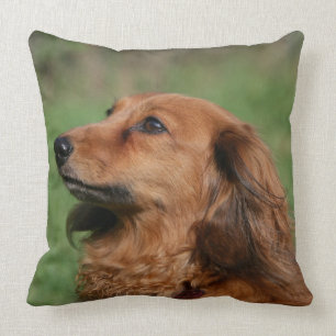 Miniatuur Dachshund 2 met lange vleugels Kussen