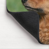 Miniatuur Dachshund 2 met lange vleugels Muismat (Hoek)