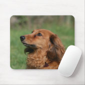 Miniatuur Dachshund 2 met lange vleugels Muismat (Met muis)