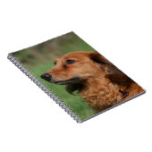 Miniatuur Dachshund 2 met lange vleugels Notitieboek (Rechterzijde)