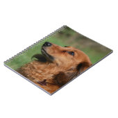 Miniatuur Dachshund 2 met lange vleugels Notitieboek (Linkerzijde)