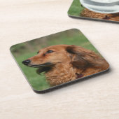 Miniatuur Dachshund 2 met lange vleugels Onderzetter (Linkerzijde)