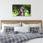 Miniatuur Dachshund 3 met gladde haren Canvas Afdruk (Insitu (Slaapkamer))