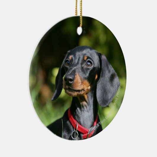 Miniatuur Dachshund 3 met gladde haren Keramisch Ornament (Rechts)