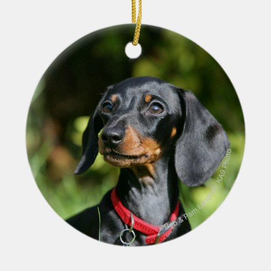 Miniatuur Dachshund 3 met gladde haren Keramisch Ornament (Voorkant)