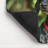 Miniatuur Dachshund 3 met gladde haren Muismat (Hoek)