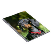 Miniatuur Dachshund 3 met gladde haren Notitieboek (Rechterzijde)
