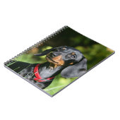 Miniatuur Dachshund 3 met gladde haren Notitieboek (Linkerzijde)