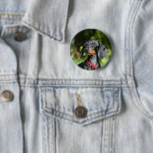 Miniatuur Dachshund 3 met gladde haren Ronde Button 5,7 Cm (In situ)