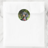 Miniatuur Dachshund 3 met gladde haren Ronde Sticker (Tas)