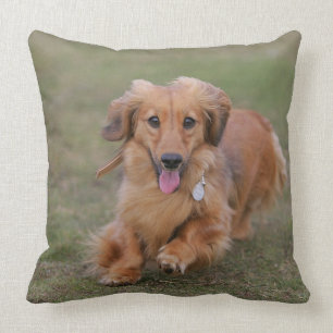 Miniatuur Dachshund hardlopend Kussen