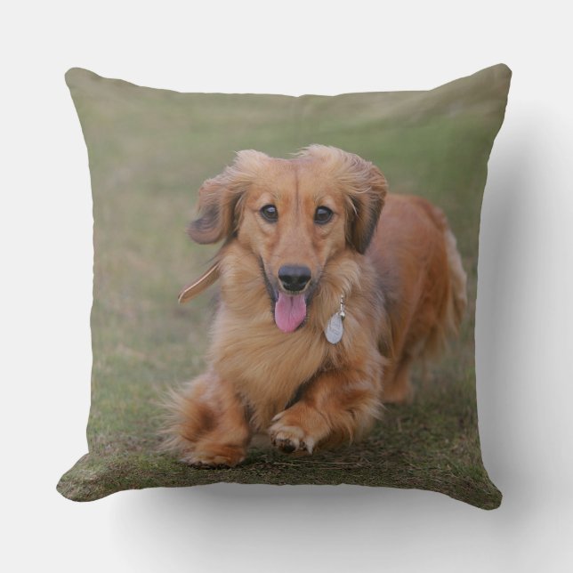 Miniatuur Dachshund hardlopend Kussen (Voorkant)