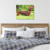 Miniatuur Dachshund met gladde haren Canvas Afdruk (Insitu (Slaapkamer))