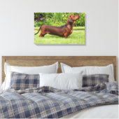 Miniatuur Dachshund met gladde haren Canvas Afdruk (Insitu (Slaapkamer))