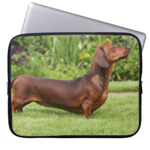 Miniatuur Dachshund met gladde haren Laptop Sleeve