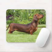 Miniatuur Dachshund met gladde haren Muismat (Met muis)