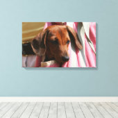 Miniatuur Dachshund Puppy met gladde haren Canvas Afdruk (Insitu (Houten vloer))