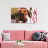Miniatuur Dachshund Puppy met gladde haren Canvas Afdruk (Insitu (Woonkamer))