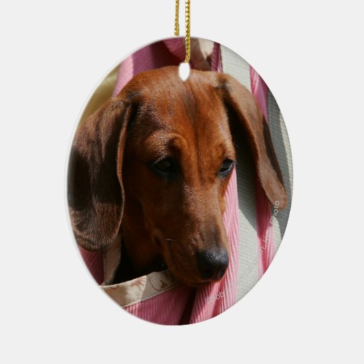 Miniatuur Dachshund Puppy met gladde haren Keramisch Ornament (Rechts)