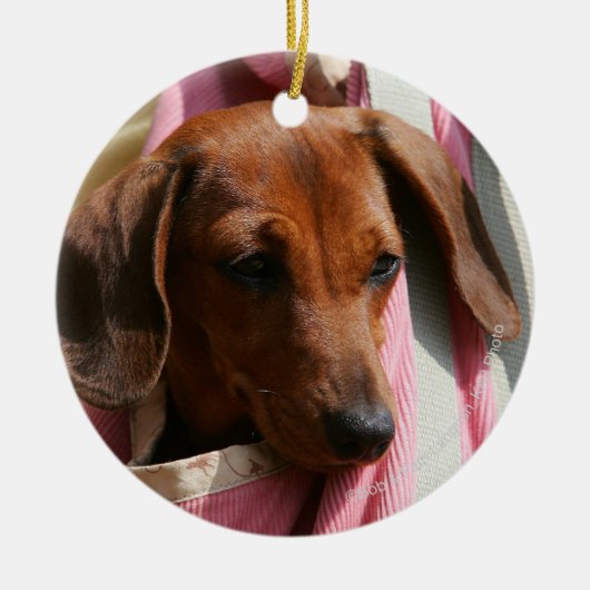 Miniatuur Dachshund Puppy met gladde haren Keramisch Ornament (Voorkant)