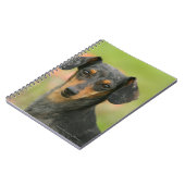 Miniatuur Dachshund Puppy met gladde haren kijkt n Notitieboek (Linkerzijde)