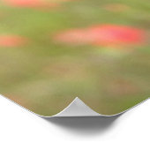 Miniatuur Dachshund Puppy met gladde haren kijkt n Poster (Hoek)