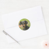 Miniatuur Dachshund Puppy met gladde haren kijkt n Ronde Sticker (Envelop)