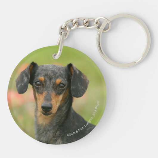 Miniatuur Dachshund Puppy met gladde haren kijkt n Sleutelhanger (Achterkant)