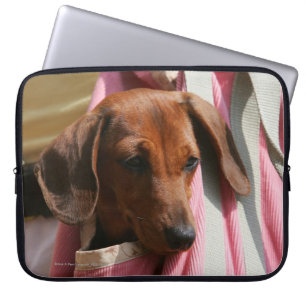 Miniatuur Dachshund Puppy met gladde haren Laptop Sleeve
