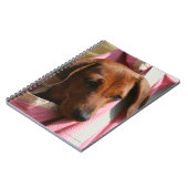 Miniatuur Dachshund Puppy met gladde haren Notitieboek (Linkerzijde)