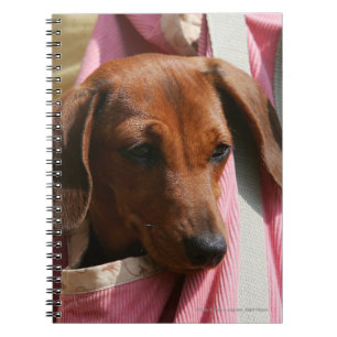 Miniatuur Dachshund Puppy met gladde haren Notitieboek