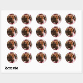 Miniatuur Dachshund Puppy met gladde haren Ronde Sticker (Vel)