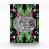 Miniatuur dennenappels Lijst Voeg je eigen toe Fotoblokken (Voorkant)