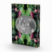 Miniatuur dennenappels Lijst Voeg je eigen toe Fotoblokken (Rechts)