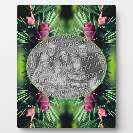 Miniatuur dennenappels Voeg je eigen foto toe Fotoplaat (Voorkant)