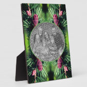 Miniatuur dennenappels Voeg je eigen foto toe Fotoplaat (Zijkant)