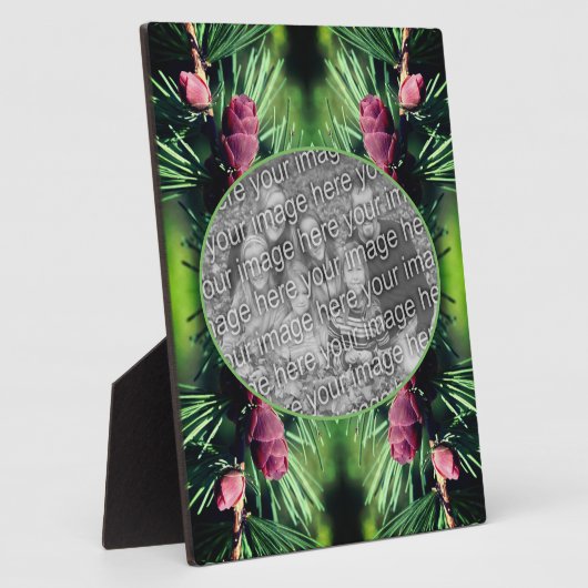 Miniatuur dennenappels Voeg je eigen foto toe Fotoplaat (Zijkant)