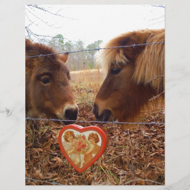 Miniatuur Donkey & Horse Valentijn Heart (Voorkant)