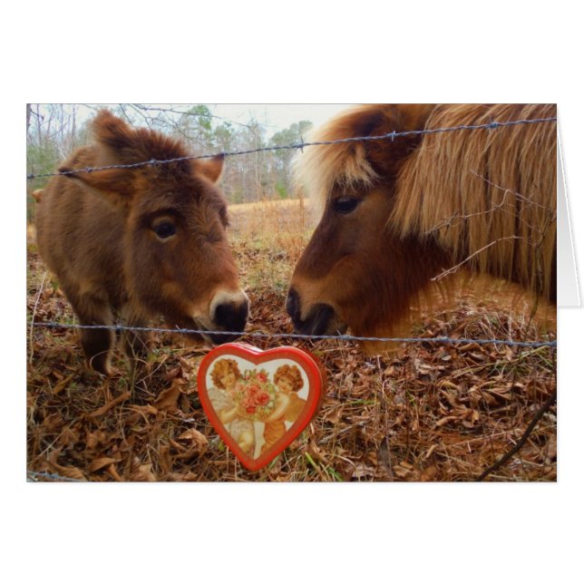 Miniatuur Donkey & Horse Valentijn Heart (Voorkant Horizontaal)