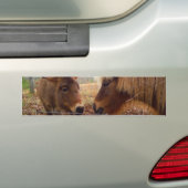 Miniatuur Donkey & Horse Valentijn Heart Bumpersticker (Op auto)