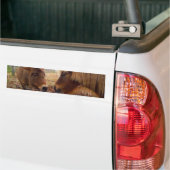 Miniatuur Donkey & Horse Valentijn Heart Bumpersticker (Op Truck)