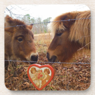 Miniatuur Donkey & Horse Valentijn Heart Drankjes Onderzetter