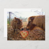 Miniatuur Donkey & Horse Valentijn Heart Feestdagenkaart (Voorkant / Achterkant)