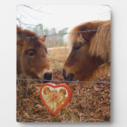 Miniatuur Donkey & Horse Valentijn Heart Fotoplaat (Voorkant)