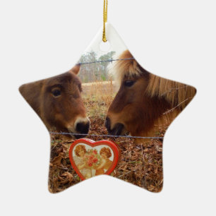Miniatuur Donkey & Horse Valentijn Heart Keramisch Ornament