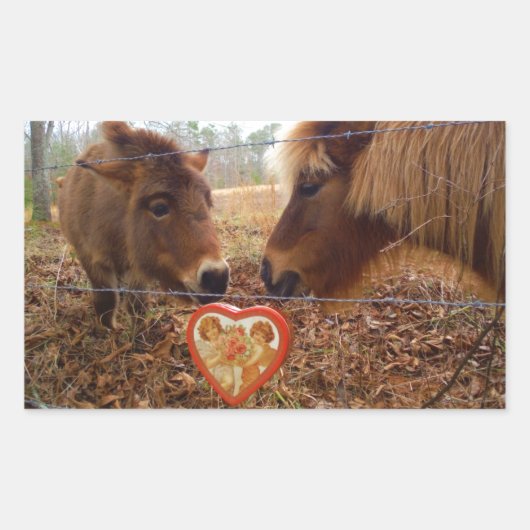 Miniatuur Donkey & Horse Valentijn Heart Rechthoekige Sticker (Voorkant)