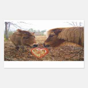 Miniatuur Donkey & Horse Valentijn Heart Rechthoekige Sticker
