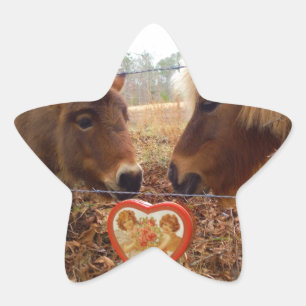 Miniatuur Donkey & Horse Valentijn Heart Ster Sticker
