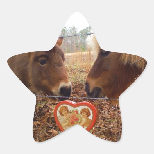 Miniatuur Donkey & Horse Valentijn Heart Ster Sticker (Voorkant)